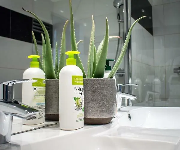 La Maison De Valentine * ボルドー